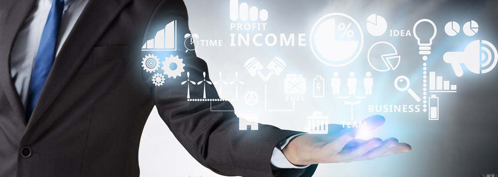 The Two Speed Organization