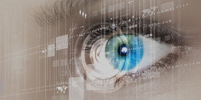 Engineering Digital DNA